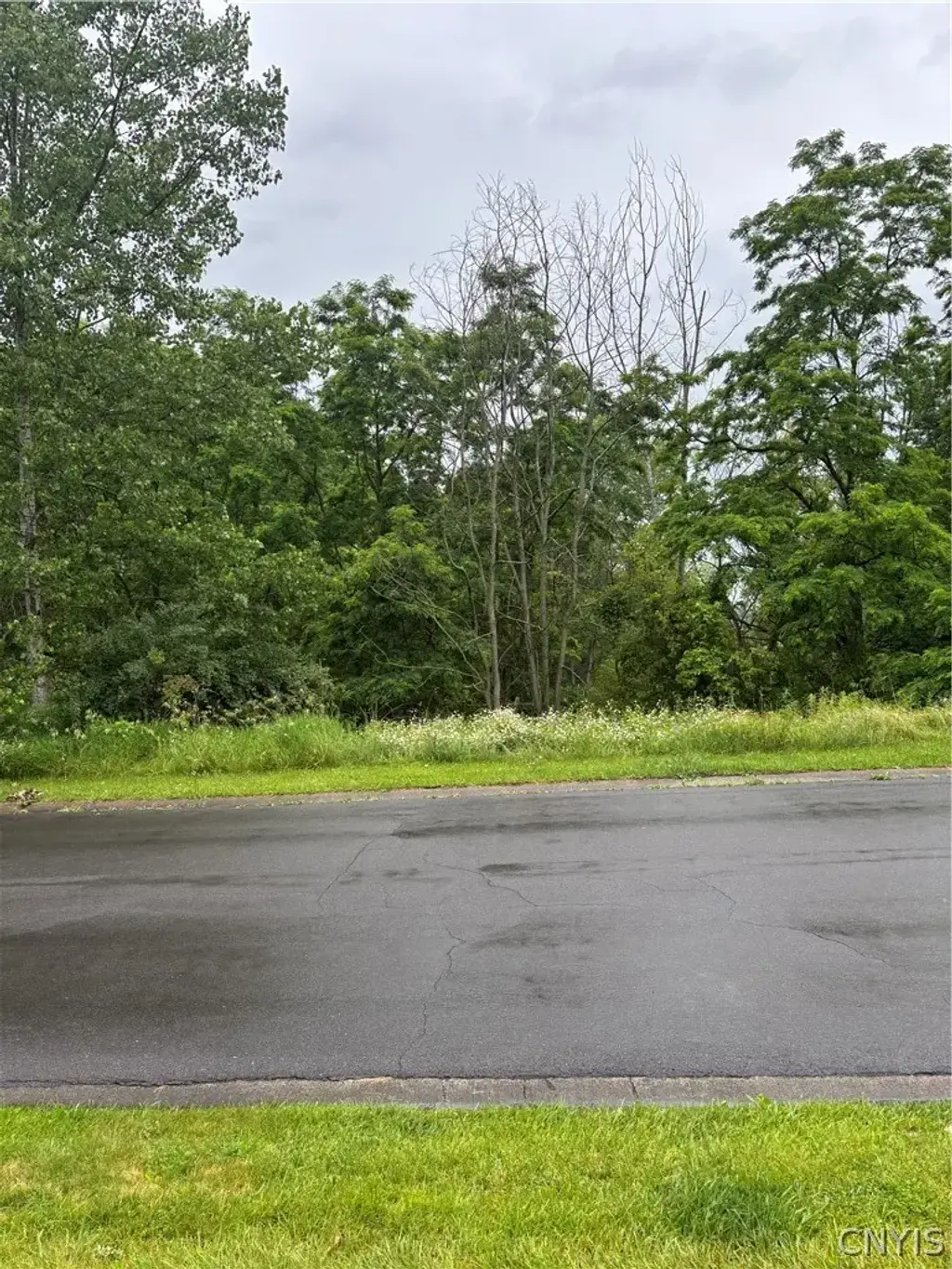 7991 Everglades Drive, Manlius