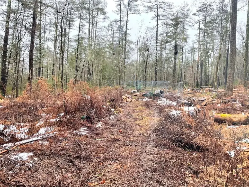 Lot 5 Blueberry Hill Road, Olive