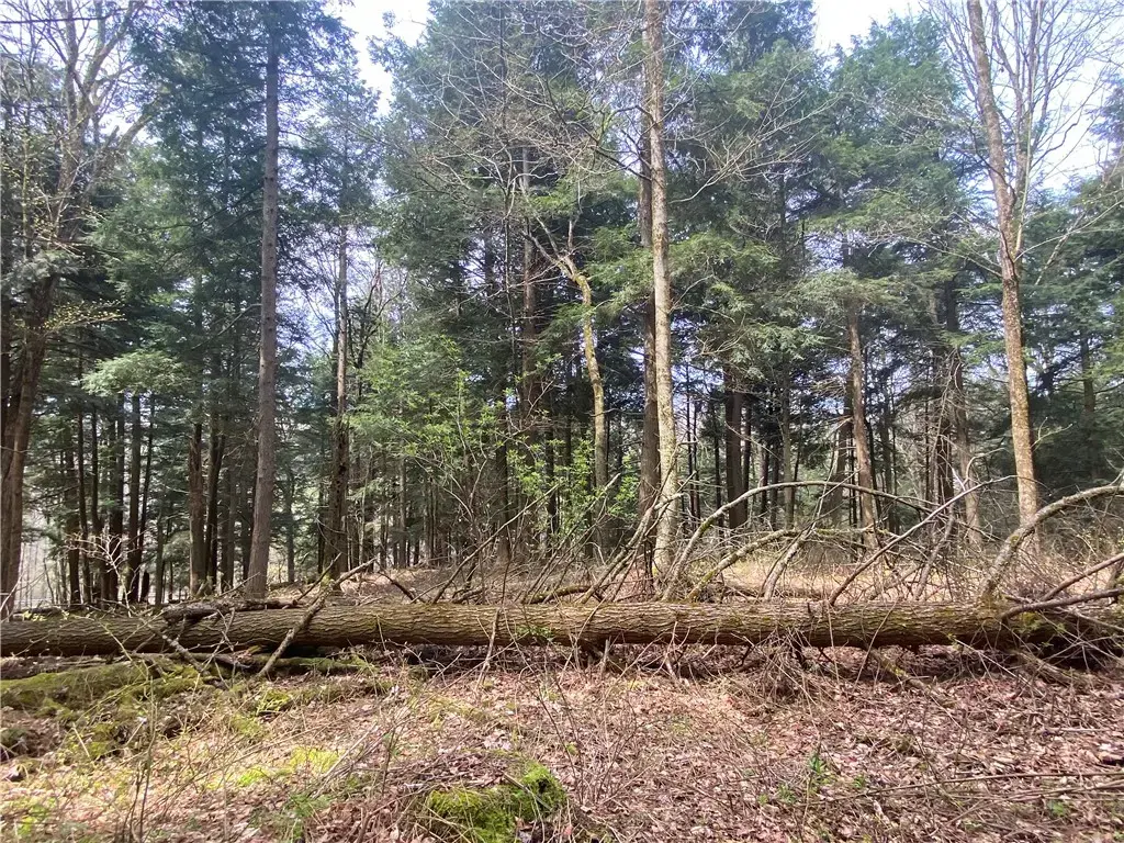 Lot A Piermott Lane, Hartwick