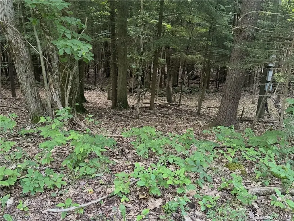Deer Path, Jefferson