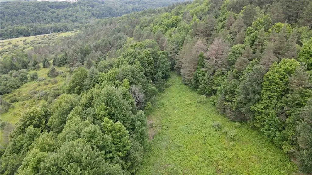 Hornell Reservoir Road, Fremont