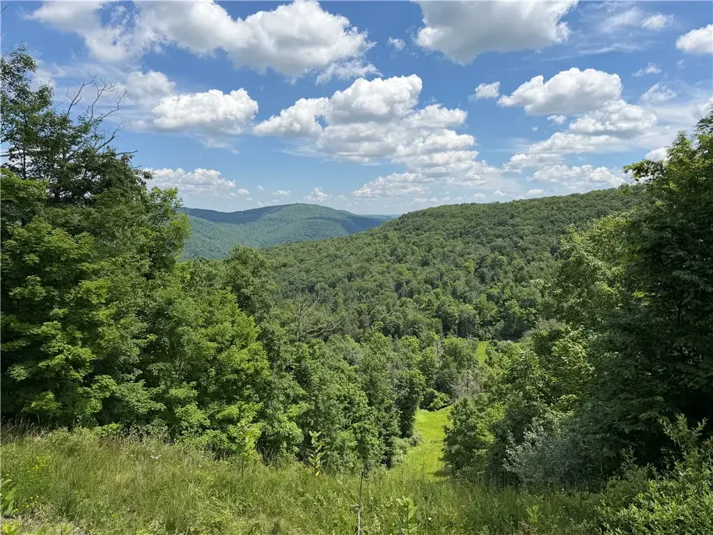 Vl Catatunk Road # R, Canisteo