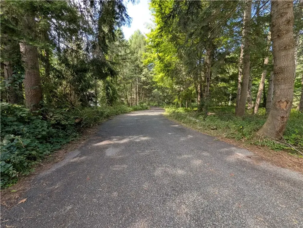 1510 Cranberry Pond, Victor