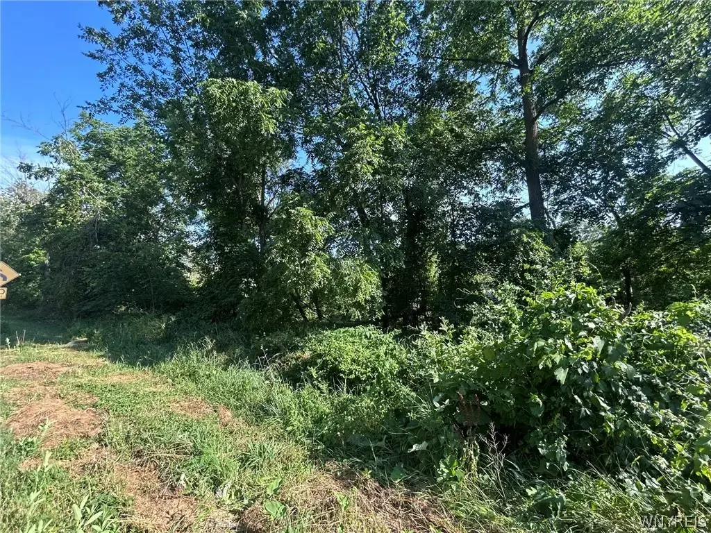 171 N Ellicott Creek Road, Amherst