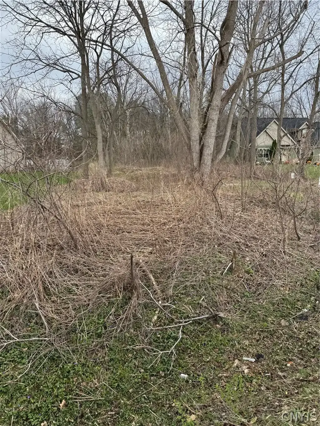 7364 Buckley Road, Clay