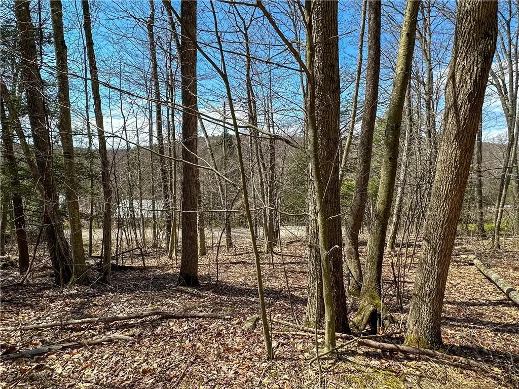 1232 Bell Hill Road, Lindley