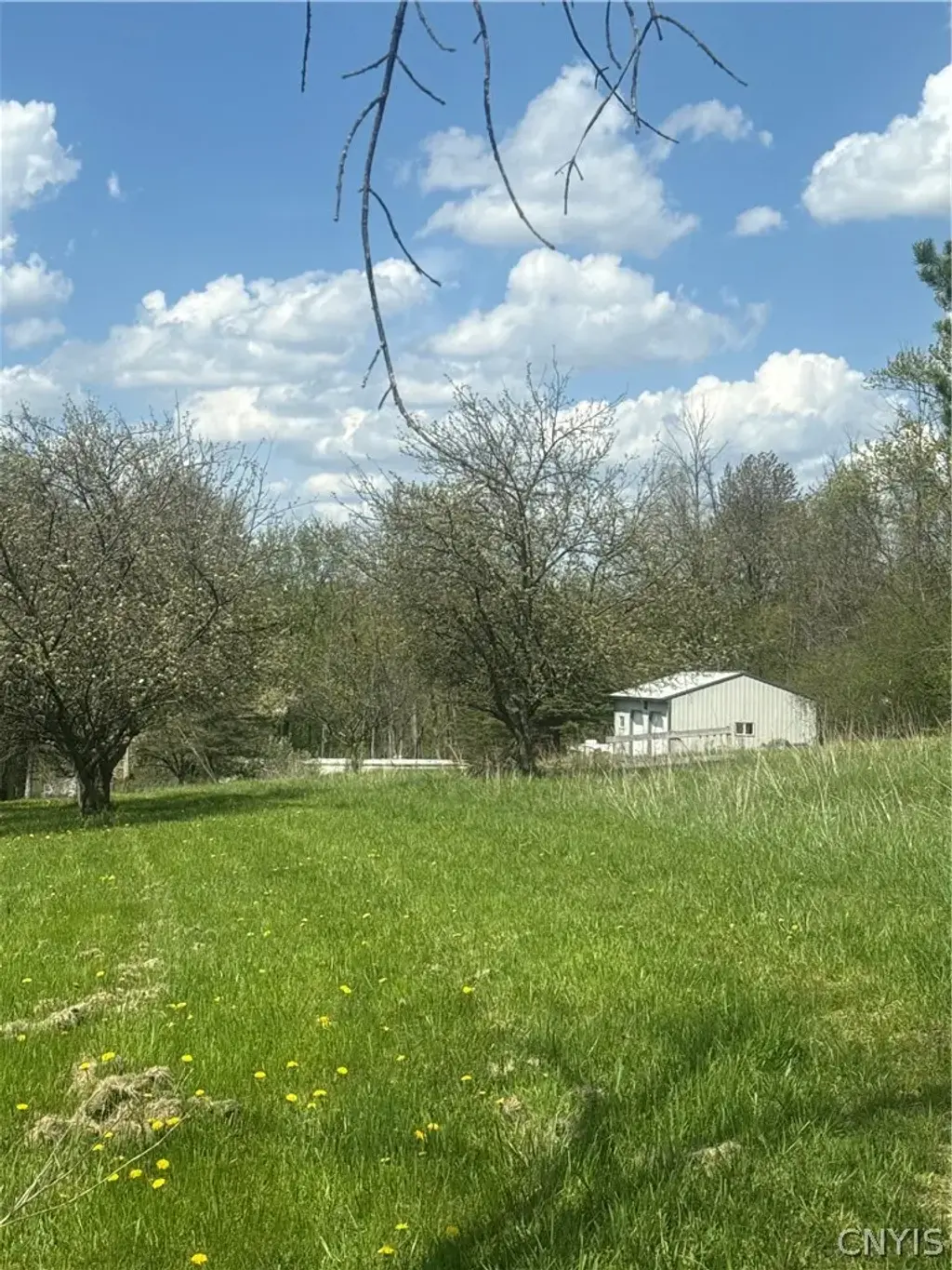 9477 Oakland Road, Brutus