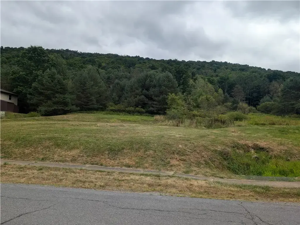 702 E Mill Street, Port Allegany Boro