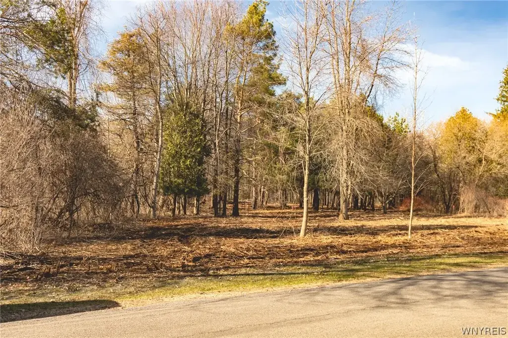 14045 Military Road, Hounsfield