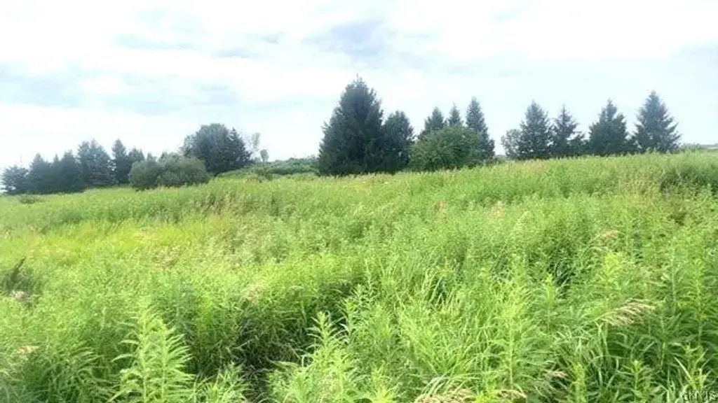 Rockbrook Estates Rd, Le Ray