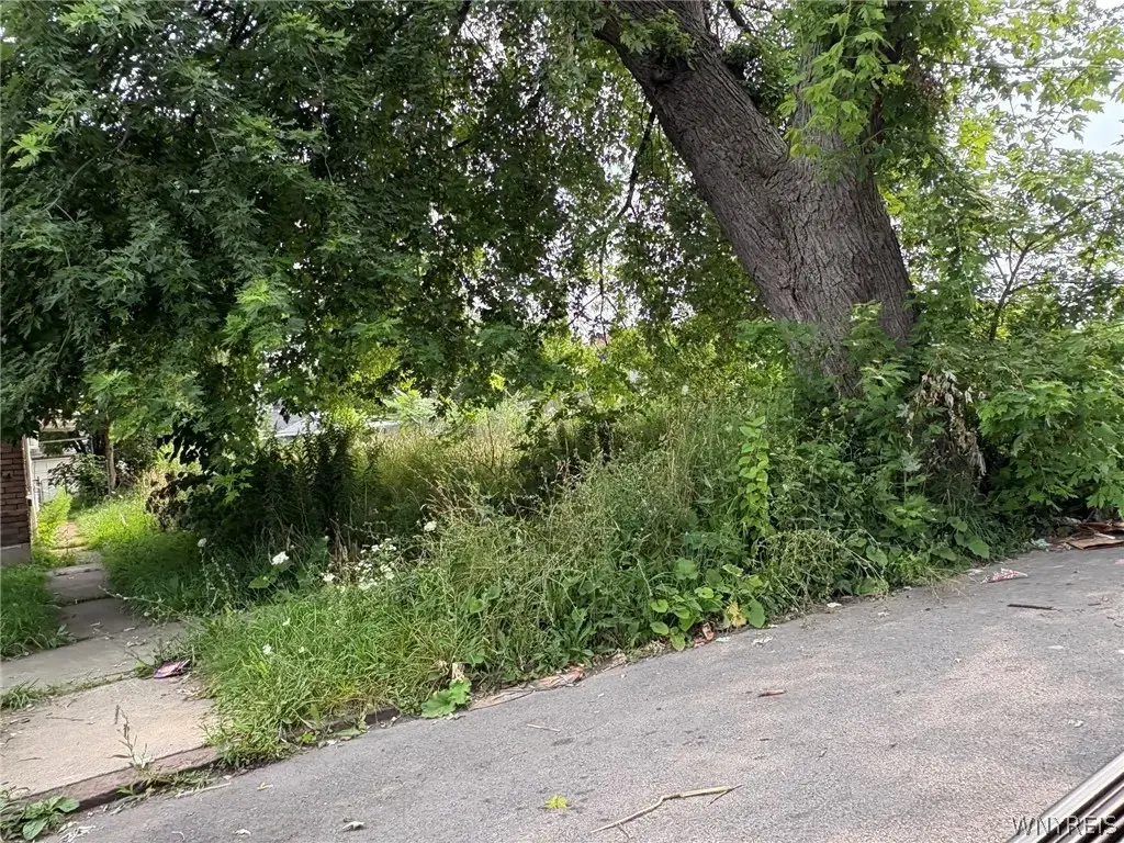 1119 La Salle Avenue, Niagara Falls