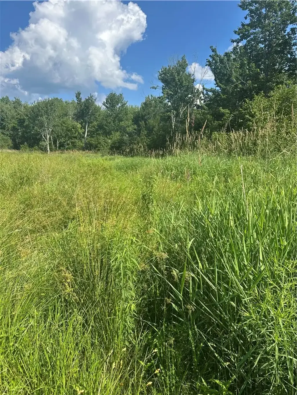 Lot 173.-3-7 Guinea Road, Gilboa