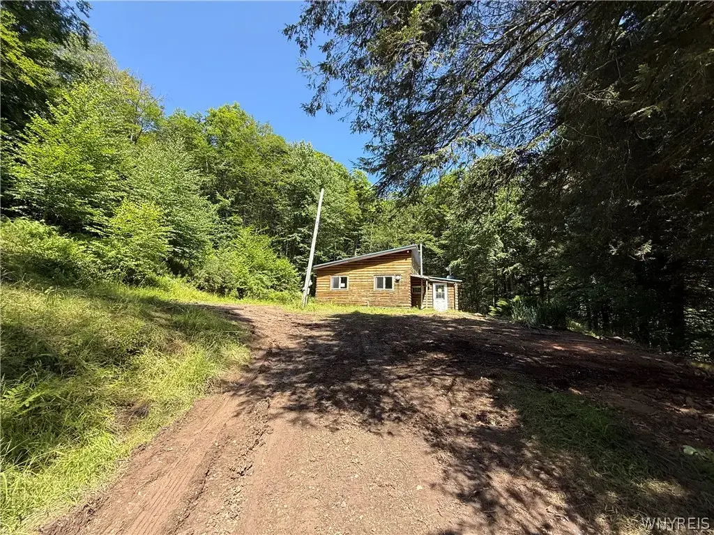 951 Long Hollow Ext. Road, Portville