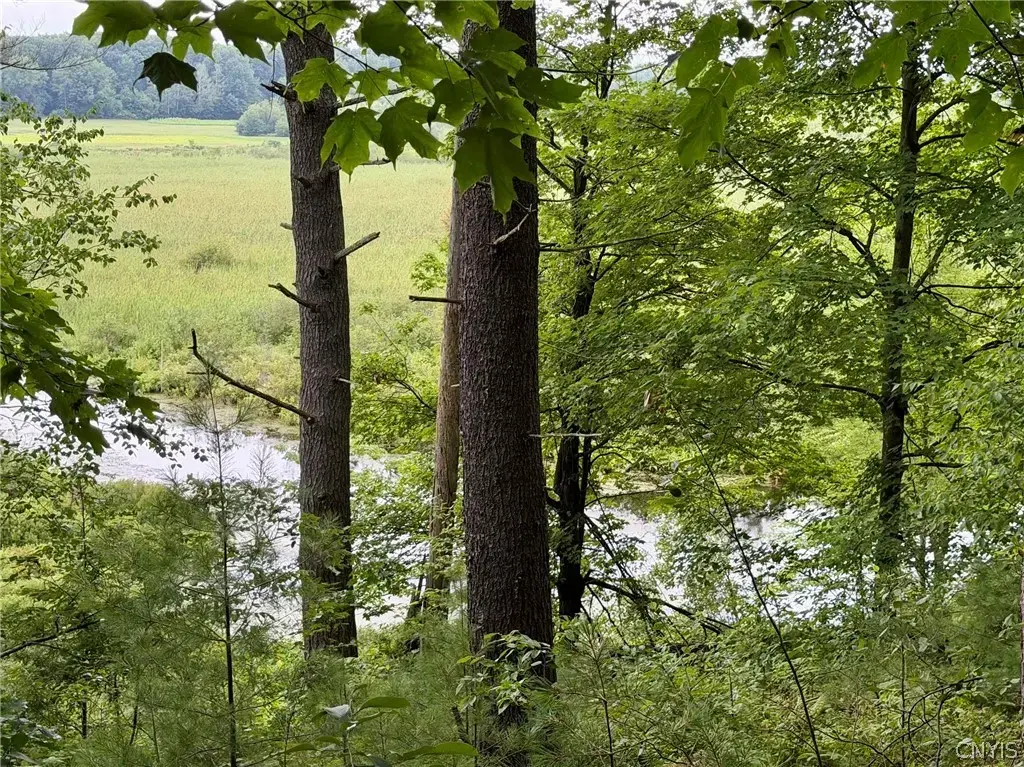 Hammond Road, Hammond
