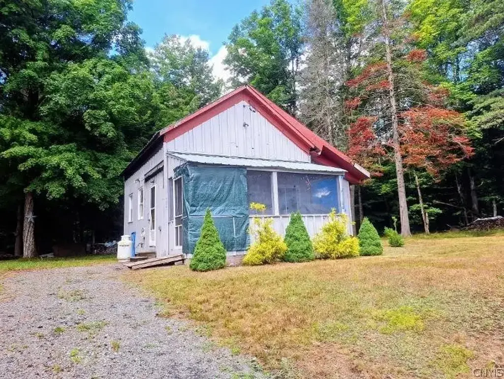 797 Lone Pine Drive, Forestport