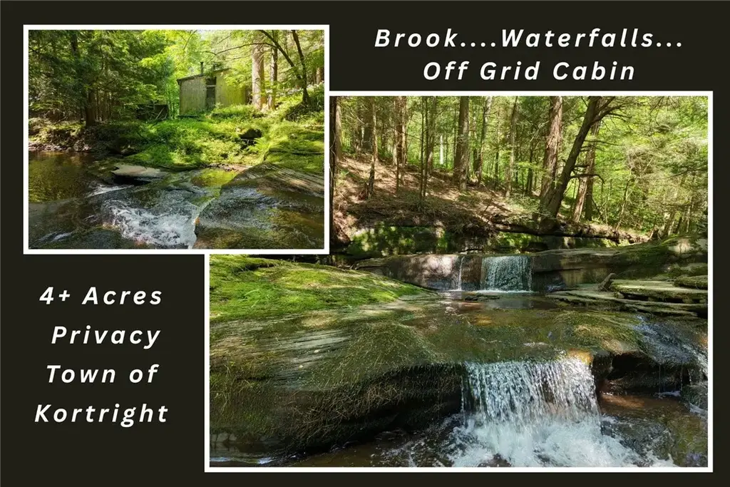 Lot 35 Webster Brook Road, Kortright