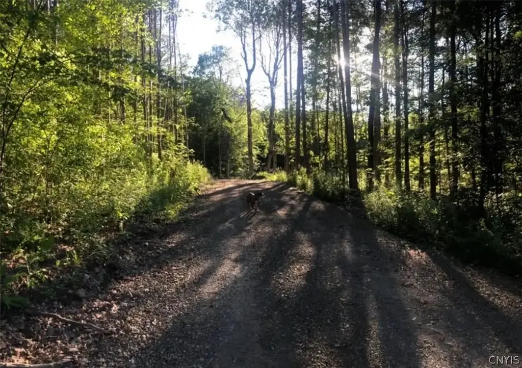 Yellow Barn Road, Dryden