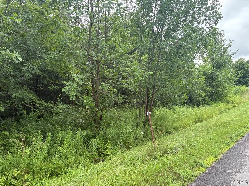 Photo of Listing #S1703136