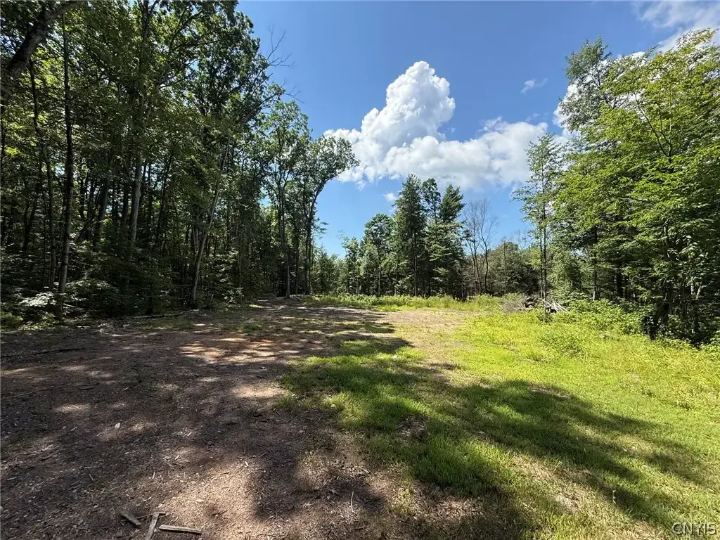 3426 Oswego Road, Vienna
