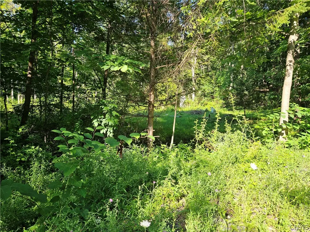 Photo of Listing #S1703385