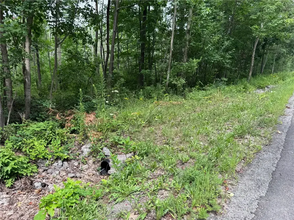 Stagecoach Road, Conesus