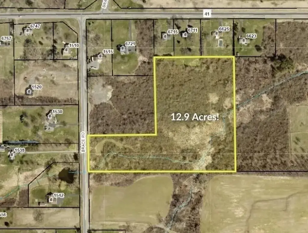 Brace Road - 12.9 Acres, Victor