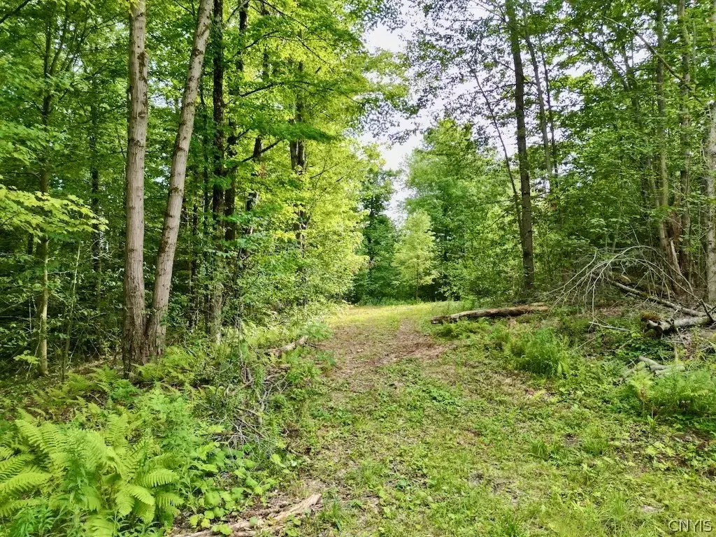 Hillsborough Road, Amboy