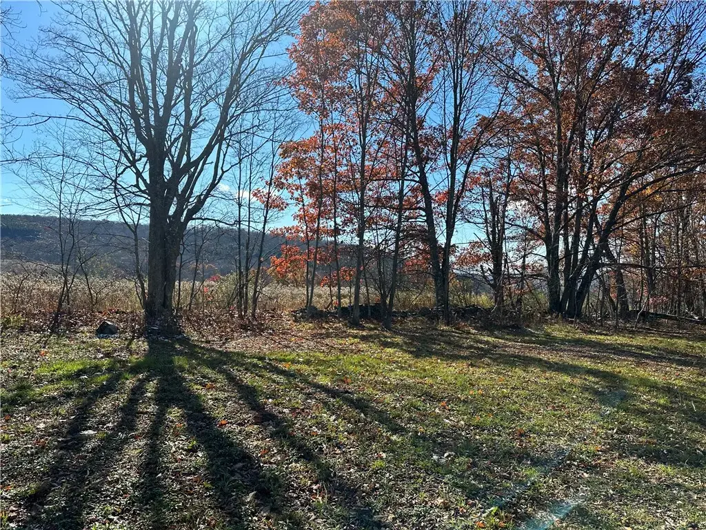 12522 State Highway 206, Walton