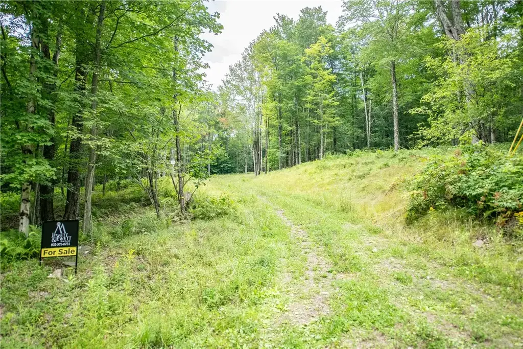 Lot 8 Beaver Creek Hollow Road, Andes
