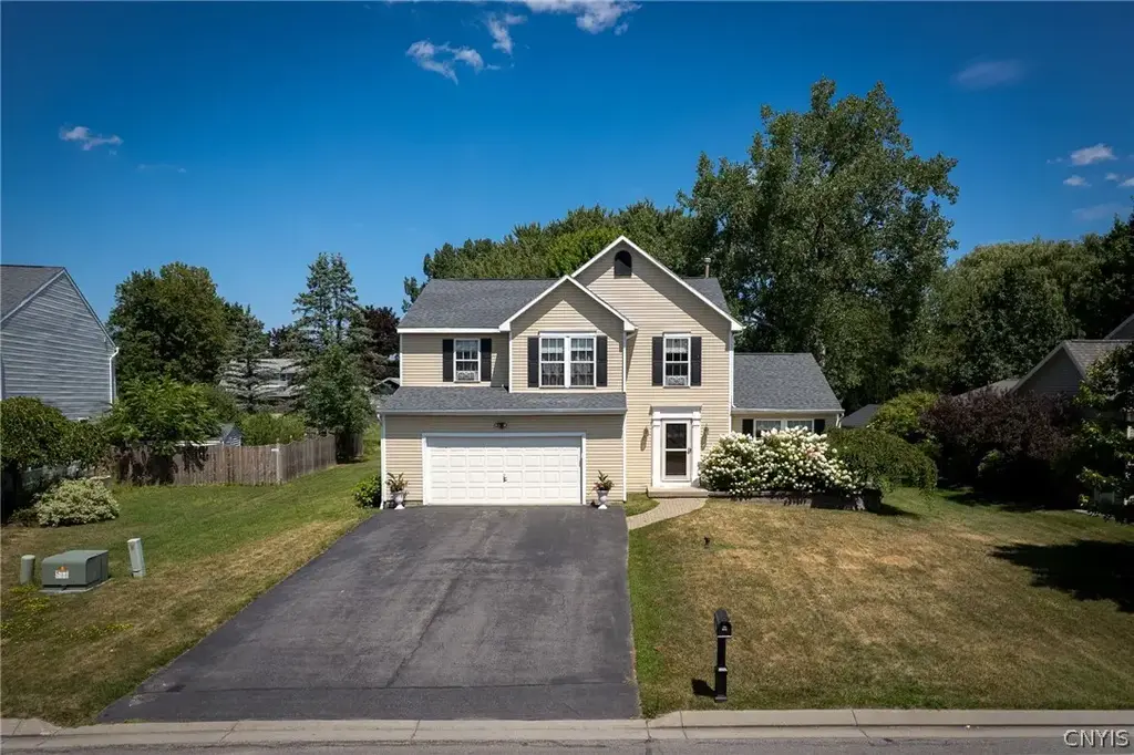 8272 Wheatberry, Clay