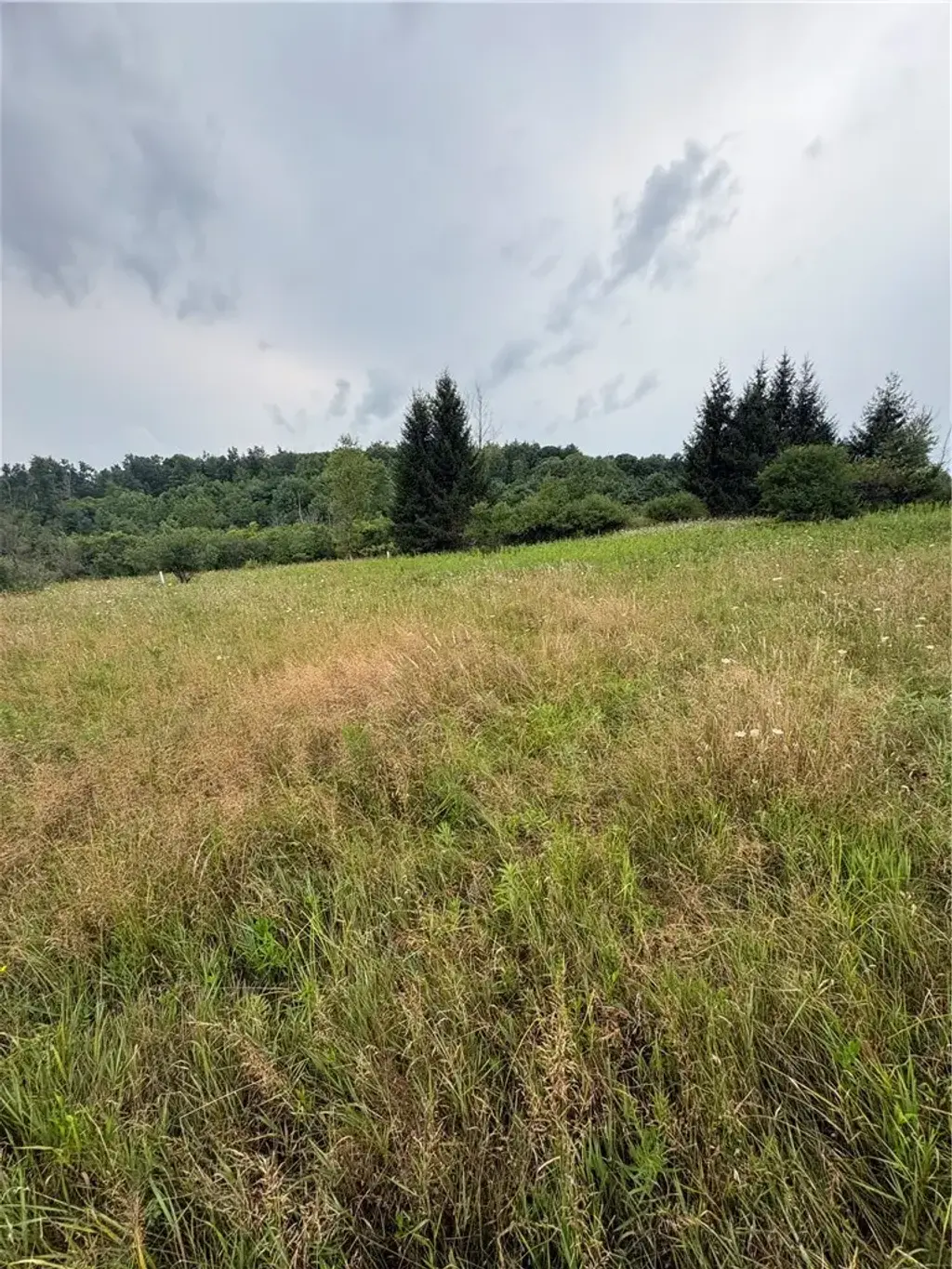 8605 - Lot 1 County Route 96, Wayne