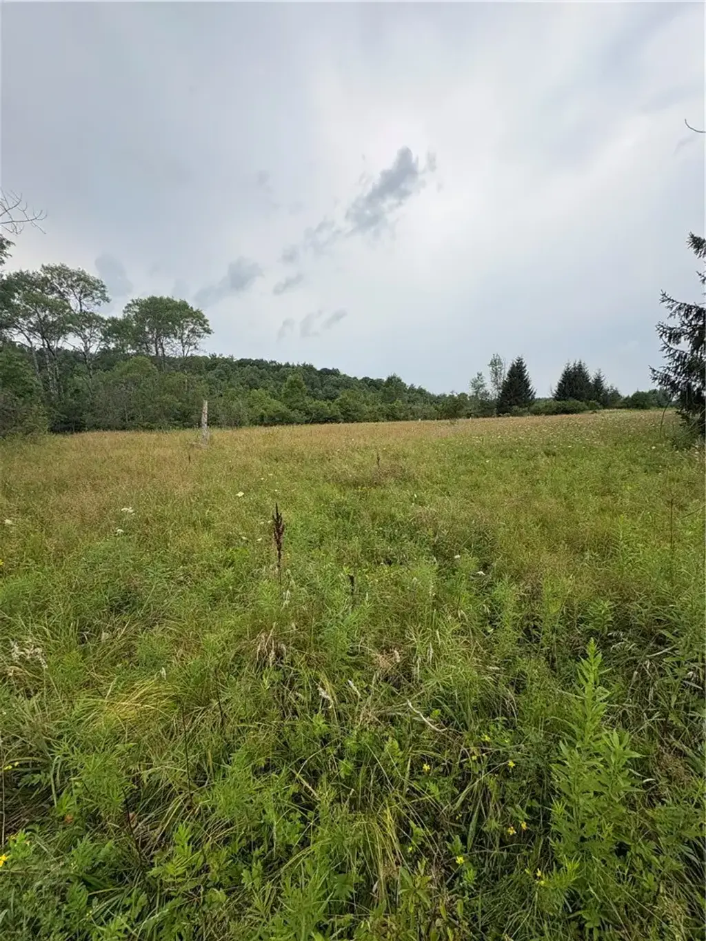 8605 - Lot 2 County Route 96, Wayne