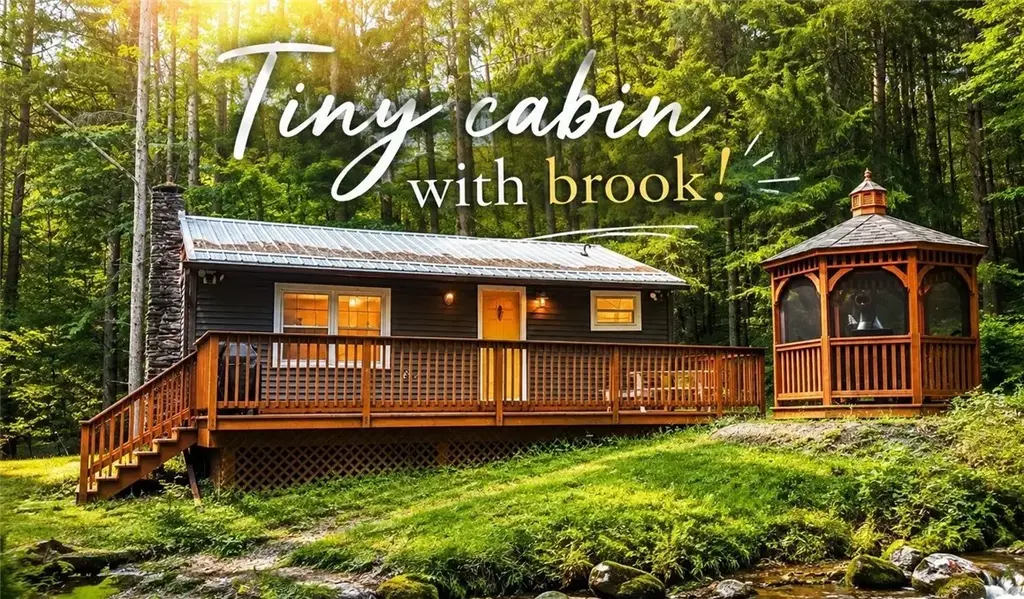 3688 Weaver Hollow Road, Andes