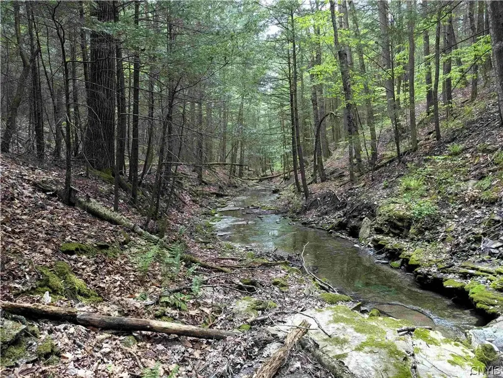 Stewart Road, Tuscarora