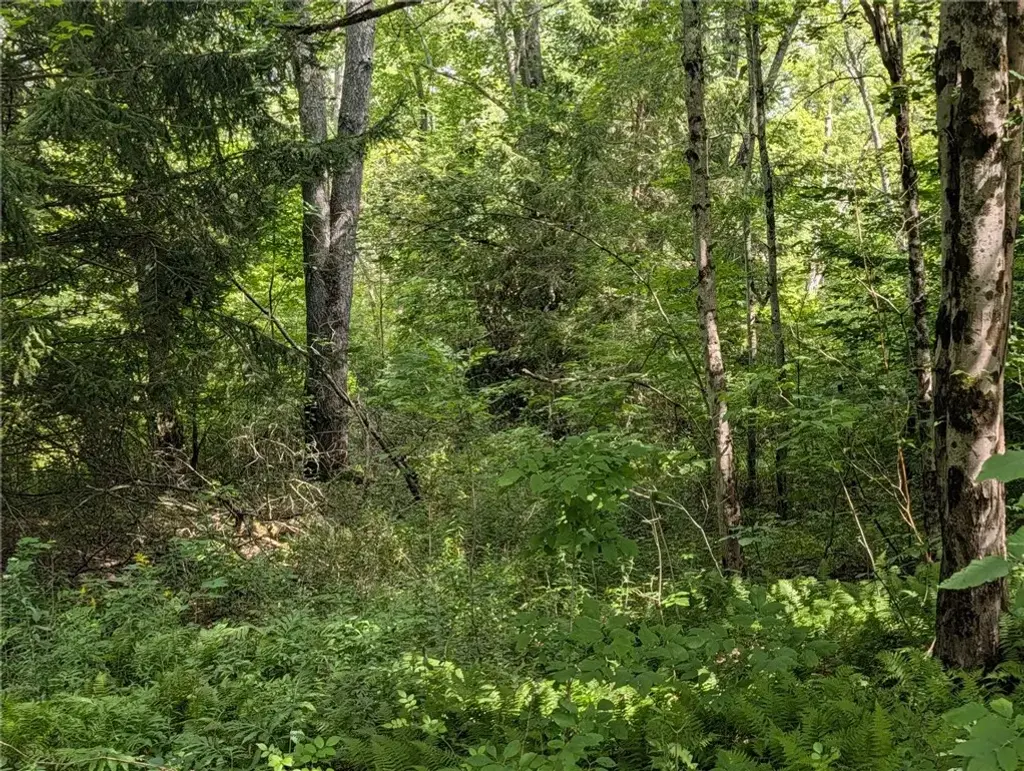 E Afton Road, Afton
