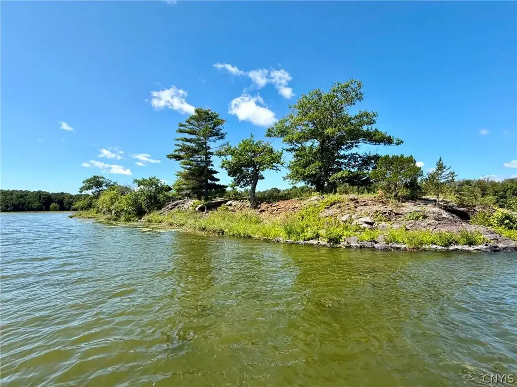 Snake Island, Morristown