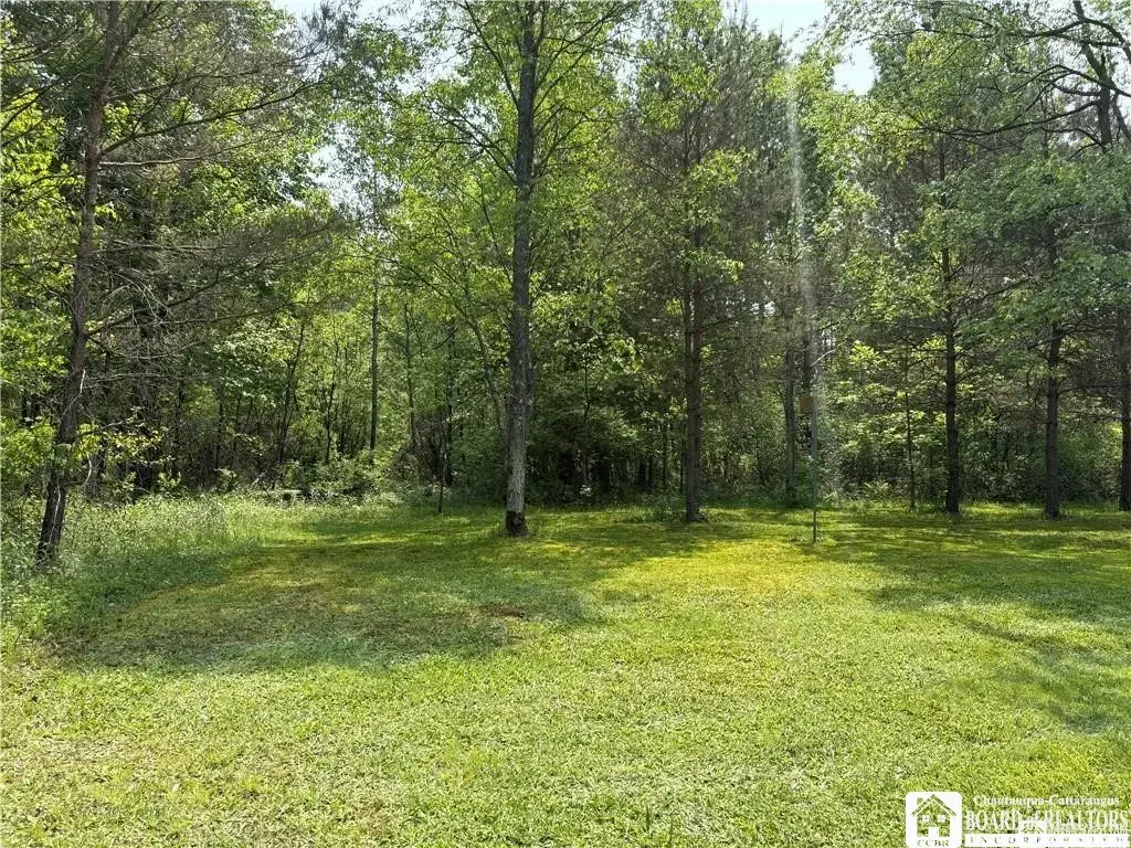 Burton Road, Busti