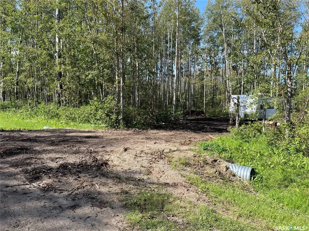 7 Buffalo Pound Road, Big River Rm No 555