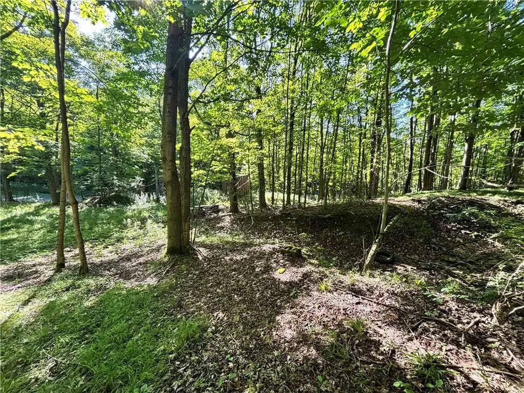 6952 Canadice Hill Road, Canadice