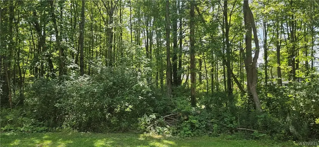Adams Avenue, Evans