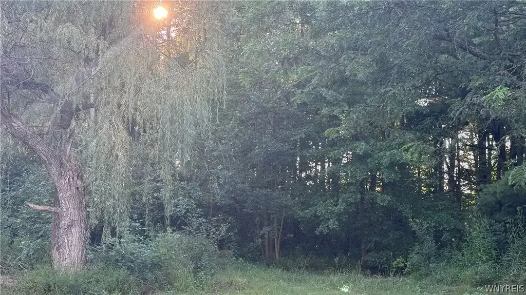 Centerline Road, Wales