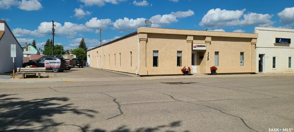 113 3rd Avenue W, Biggar