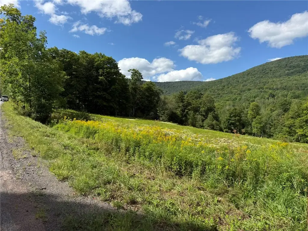 Lower Meeker Hollow Run, Roxbury