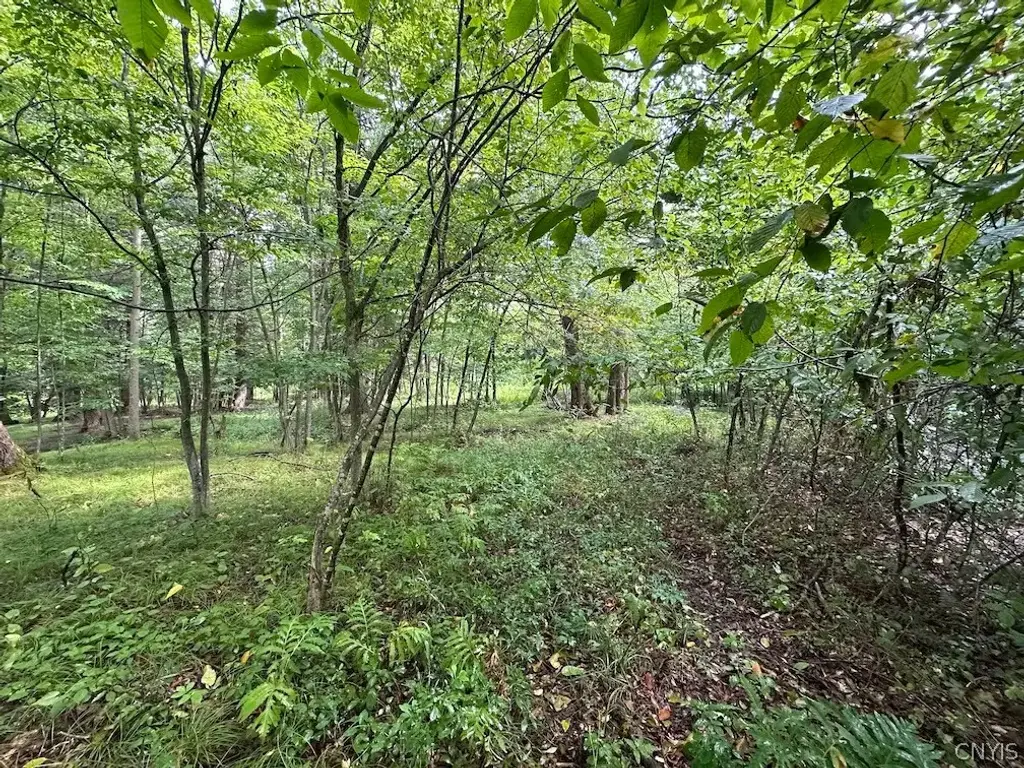 5416 Saunders Hill Road, Amity