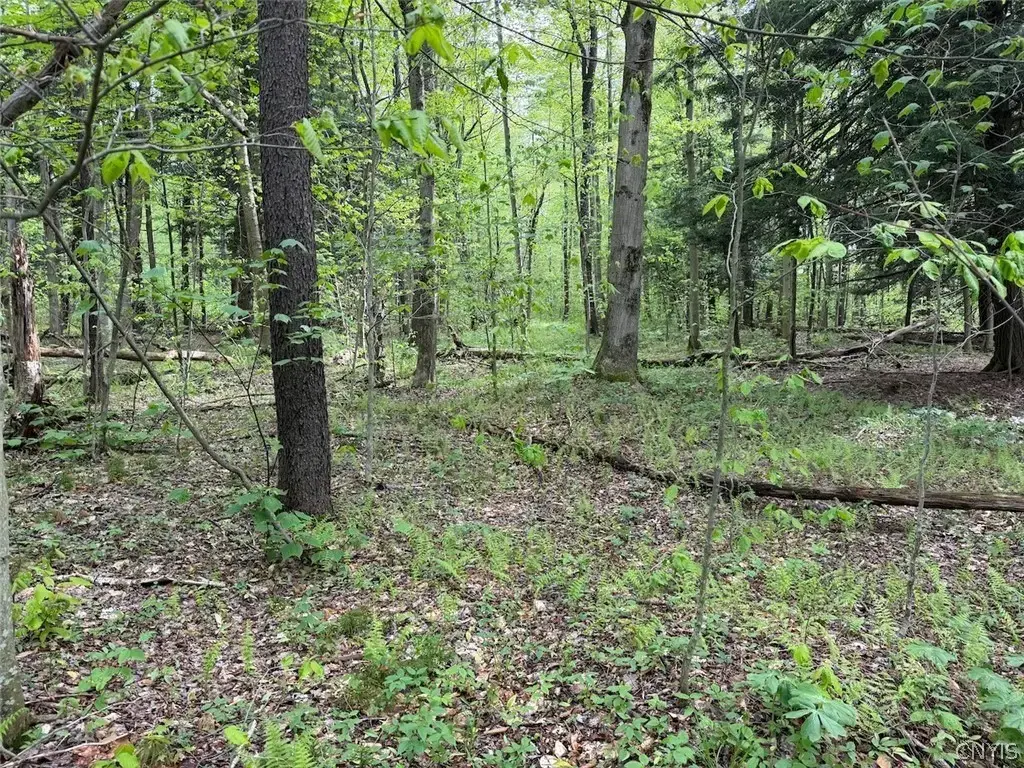 Kellogg Hill Road, Leon