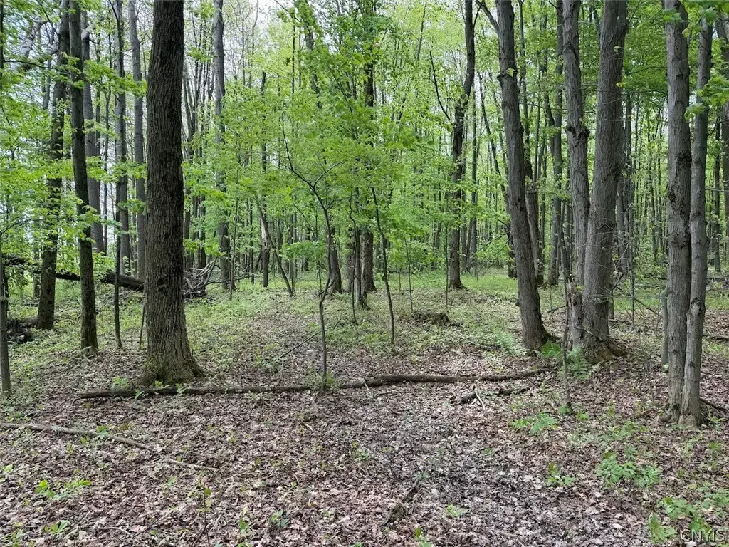 Kellogg Hill Road, Leon