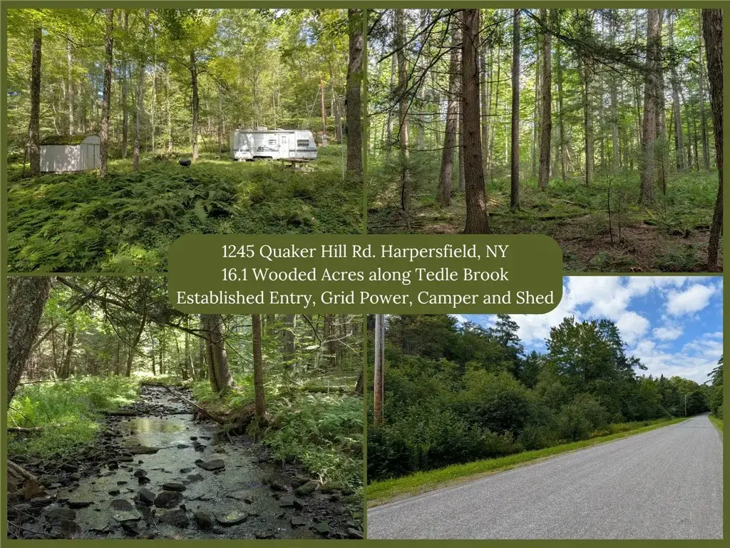 1245 Quaker Hill Road, Harpersfield