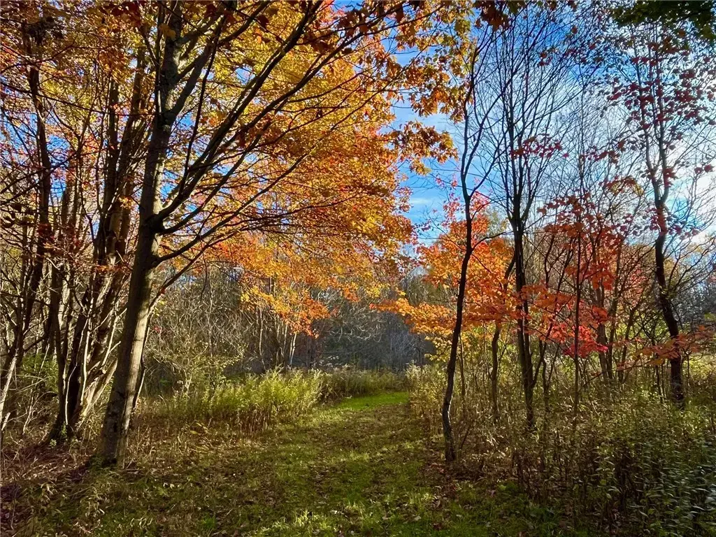 Nys Route 98, Franklinville