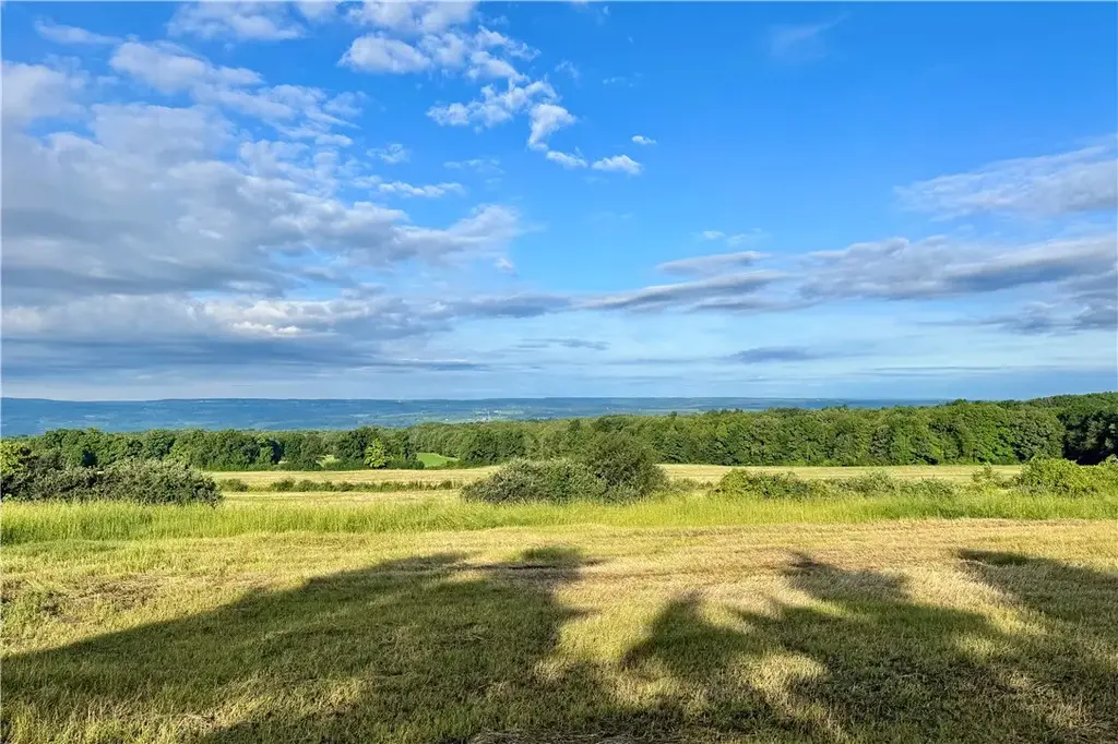 Lot 1 0 County Road 4, Hector