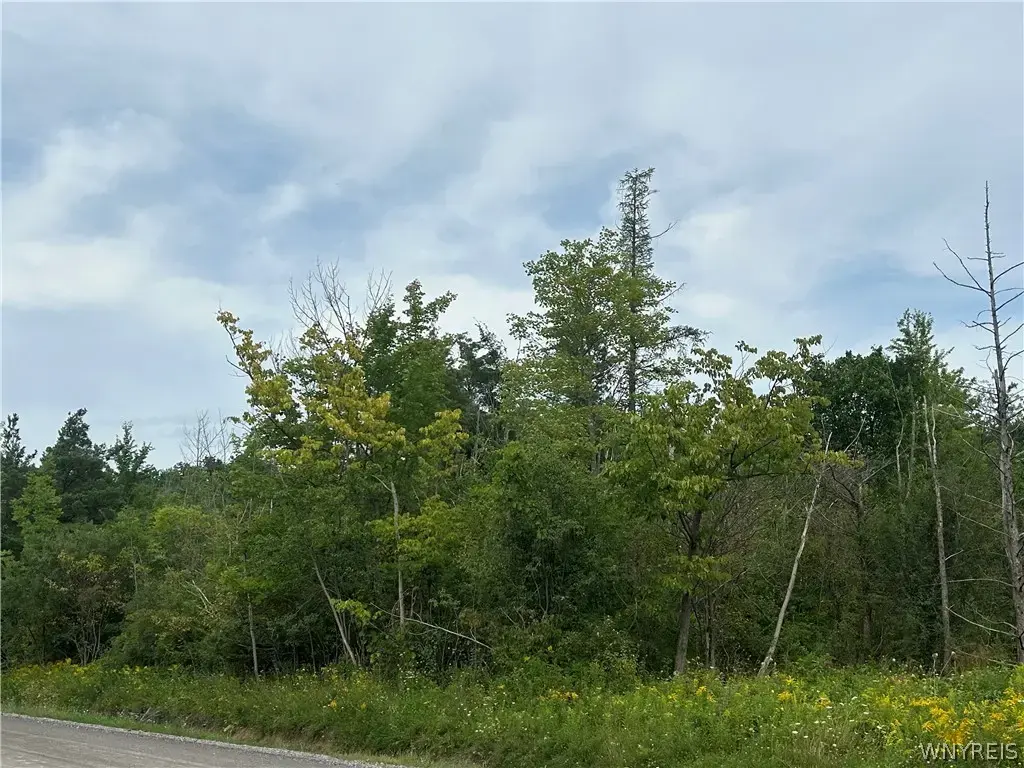 Tinkham Road, Bennington